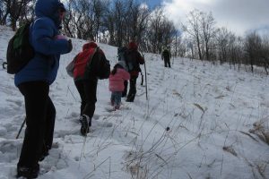 IMG_0465-1
